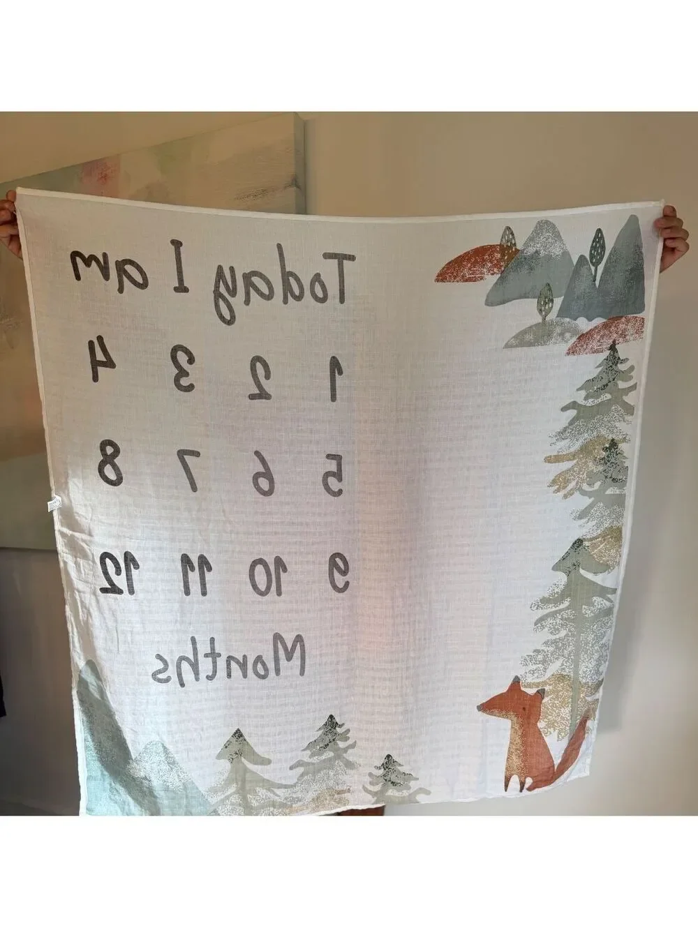 Modern Moments by Gerber Boy Milestone Blanket Muslin Cotton Month Mat Woodland